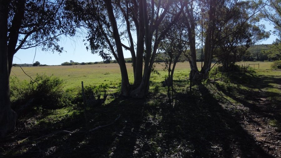 Commercial Property for Sale in Mossel Bay Rural Western Cape